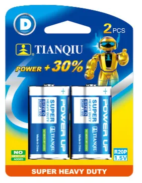 R20P/2BP