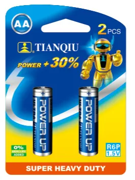 R6P/2BP